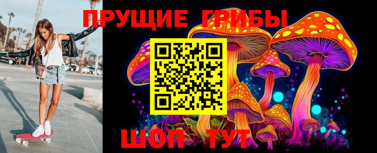 Галлюциногенные грибы Psilocybe Отрадное