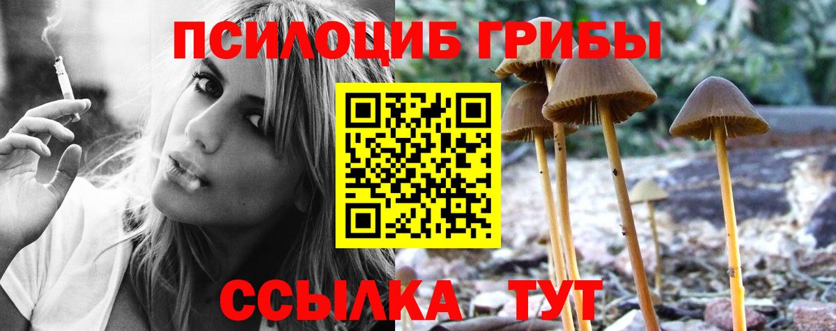 сколько стоит  Галлюциногенные грибы MAGIC MUSHROOMS  Вход с VPN  Отрадное 